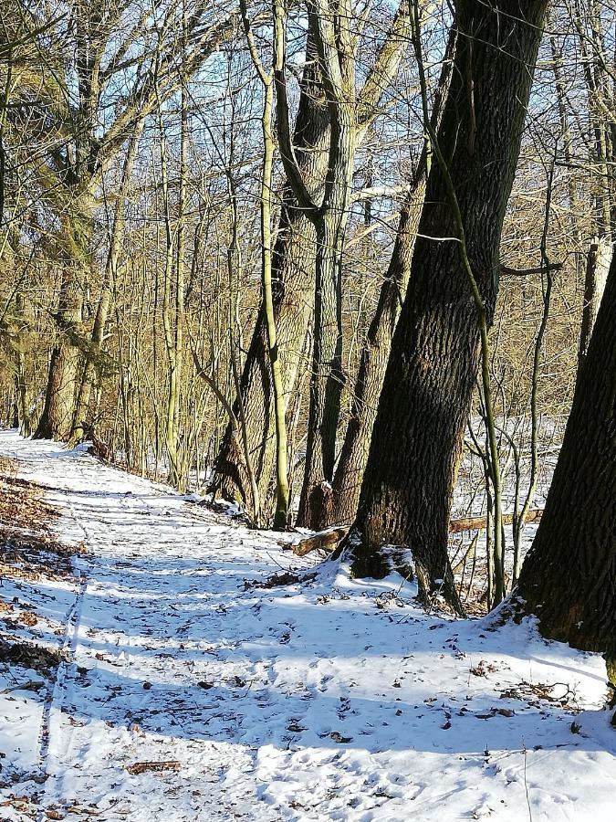 Zur Alten Eiche Stepenitz